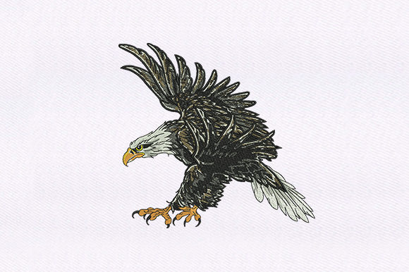 A Practical Review of Descending Eagle Embroidery Design