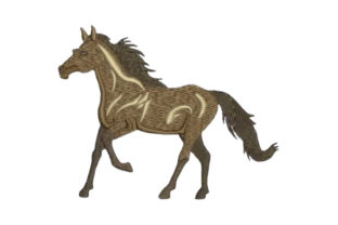 Horse Profile Embroidery Design: A Seller's Practical Review